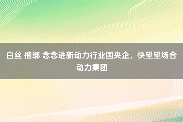 白丝 捆绑 念念进新动力行业国央企，快望望场合动力集团