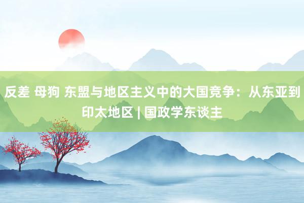 反差 母狗 东盟与地区主义中的大国竞争：从东亚到印太地区 | 国政学东谈主