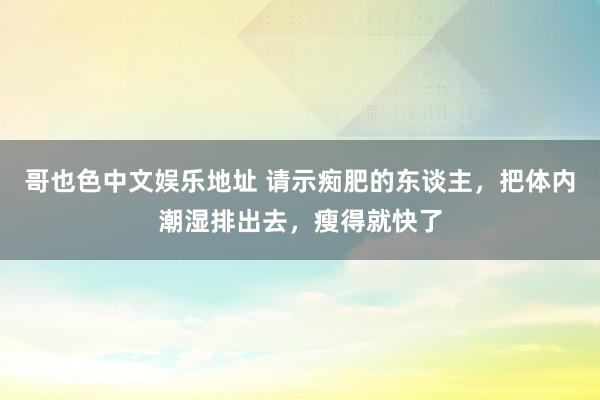 哥也色中文娱乐地址 请示痴肥的东谈主，把体内潮湿排出去，瘦得就快了