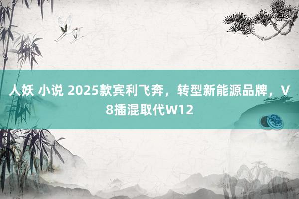 人妖 小说 2025款宾利飞奔，转型新能源品牌，V8插混取代W12