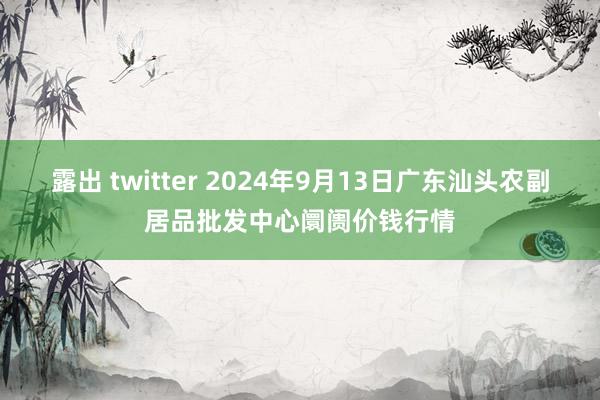 露出 twitter 2024年9月13日广东汕头农副居品批发中心阛阓价钱行情