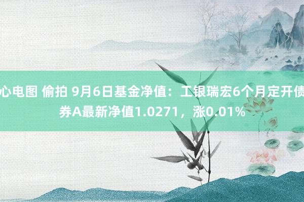 心电图 偷拍 9月6日基金净值：工银瑞宏6个月定开债券A最新净值1.0271，涨0.01%