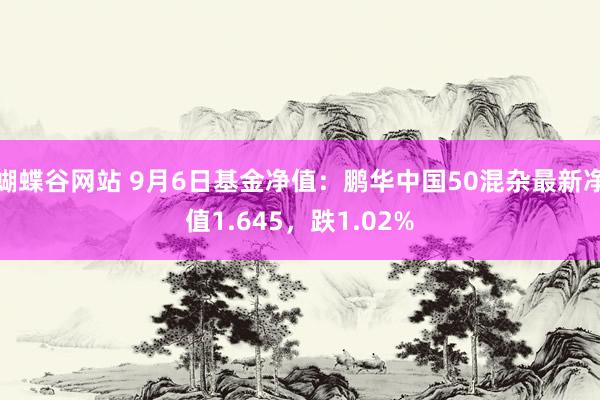 蝴蝶谷网站 9月6日基金净值：鹏华中国50混杂最新净值1.645，跌1.02%