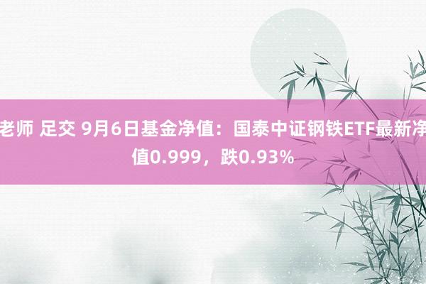 老师 足交 9月6日基金净值：国泰中证钢铁ETF最新净值0.999，跌0.93%