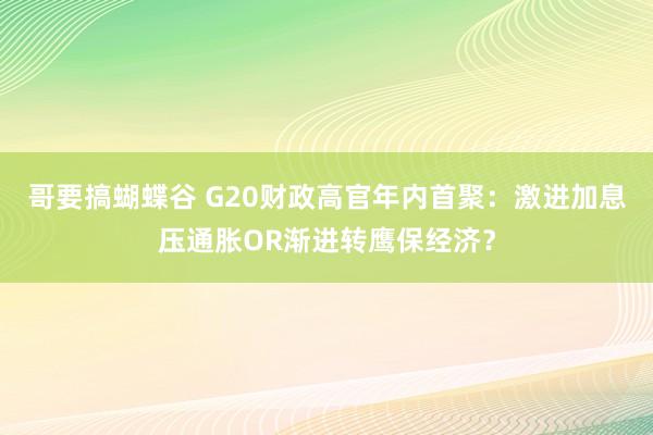 哥要搞蝴蝶谷 G20财政高官年内首聚：激进加息压通胀OR渐进转鹰保经济？