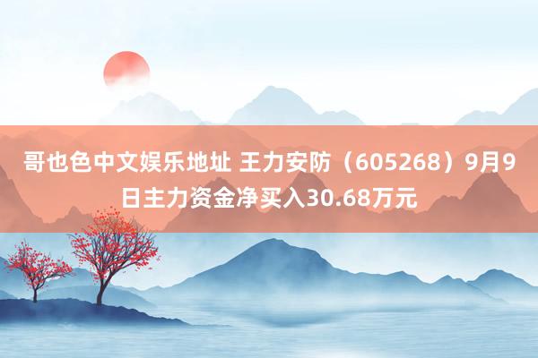 哥也色中文娱乐地址 王力安防（605268）9月9日主力资金净买入30.68万元