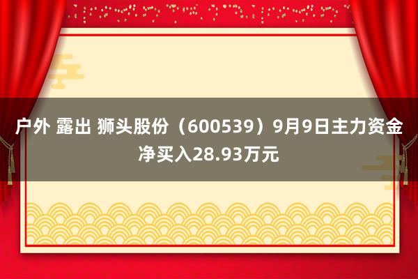 户外 露出 狮头股份（600539）9月9日主力资金净买入28.93万元