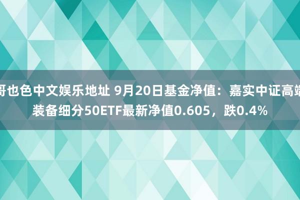 哥也色中文娱乐地址 9月20日基金净值：嘉实中证高端装备细分50ETF最新净值0.605，跌0.4%