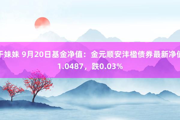 干妹妹 9月20日基金净值：金元顺安沣楹债券最新净值1.0487，跌0.03%