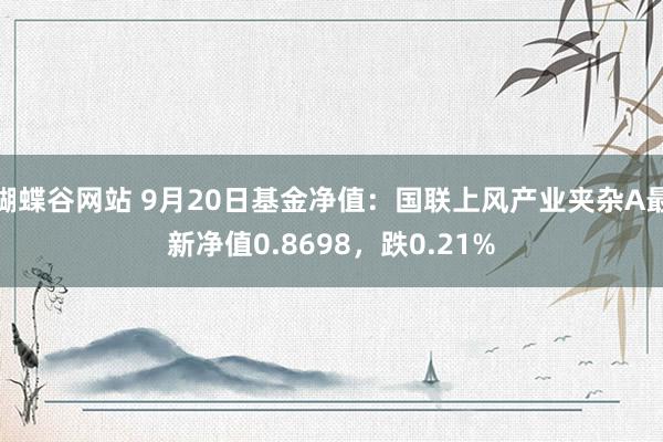 蝴蝶谷网站 9月20日基金净值：国联上风产业夹杂A最新净值0.8698，跌0.21%