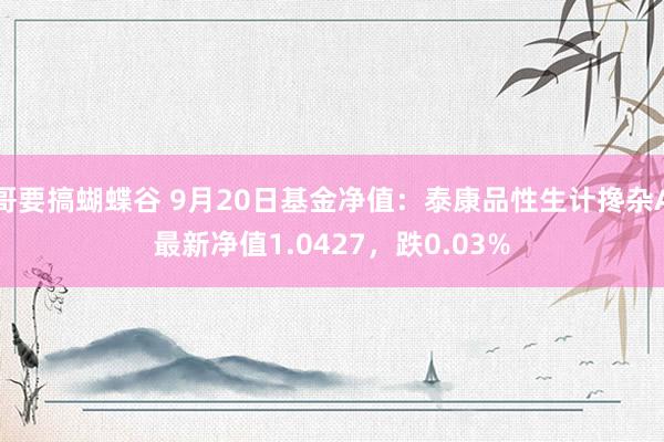 哥要搞蝴蝶谷 9月20日基金净值：泰康品性生计搀杂A最新净值1.0427，跌0.03%