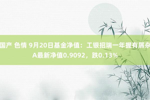 国产 色情 9月20日基金净值：工银招瑞一年握有羼杂A最新净值0.9092，跌0.13%