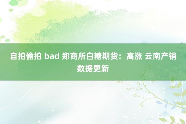 自拍偷拍 bad 郑商所白糖期货：高涨 云南产销数据更新