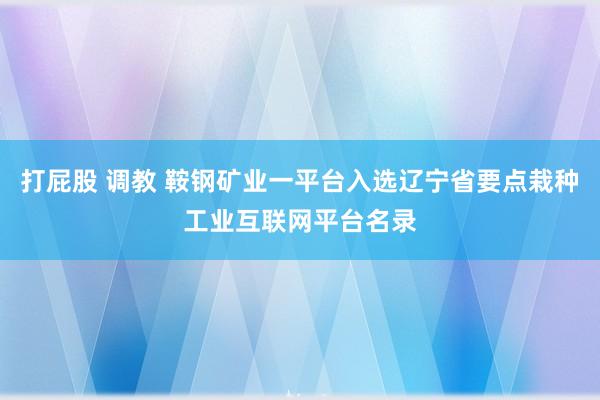 打屁股 调教 鞍钢矿业一平台入选辽宁省要点栽种工业互联网平台名录