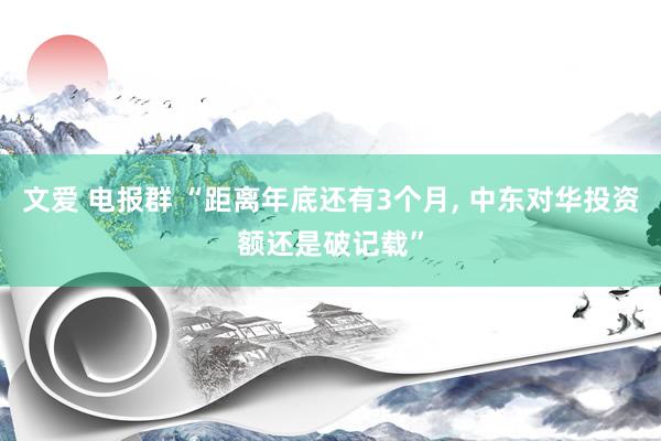 文爱 电报群 “距离年底还有3个月， 中东对华投资额还是破记载”