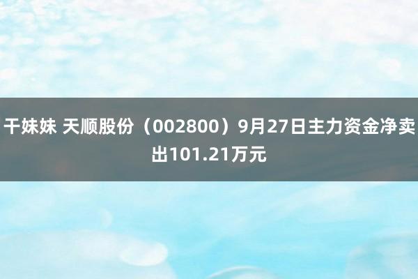 干妹妹 天顺股份（002800）9月27日主力资金净卖出101.21万元