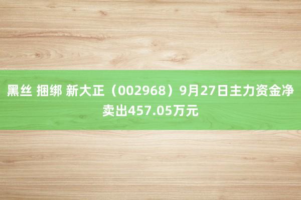 黑丝 捆绑 新大正（002968）9月27日主力资金净卖出457.05万元