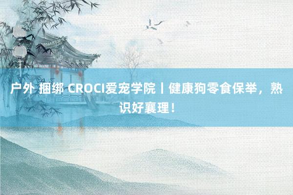 户外 捆绑 CROCI爱宠学院丨健康狗零食保举，熟识好襄理！