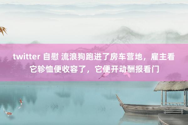 twitter 自慰 流浪狗跑进了房车营地，雇主看它轸恤便收容了，它便开动酬报看门