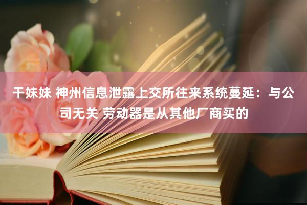 干妹妹 神州信息泄露上交所往来系统蔓延：与公司无关 劳动器是从其他厂商买的