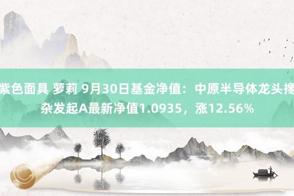 紫色面具 萝莉 9月30日基金净值：中原半导体龙头搀杂发起A最新净值1.0935，涨12.56%