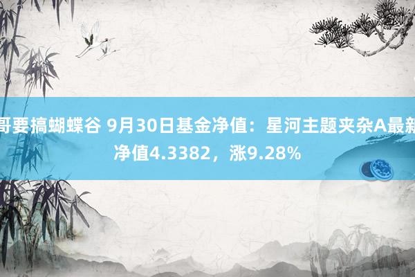 哥要搞蝴蝶谷 9月30日基金净值：星河主题夹杂A最新净值4.3382，涨9.28%