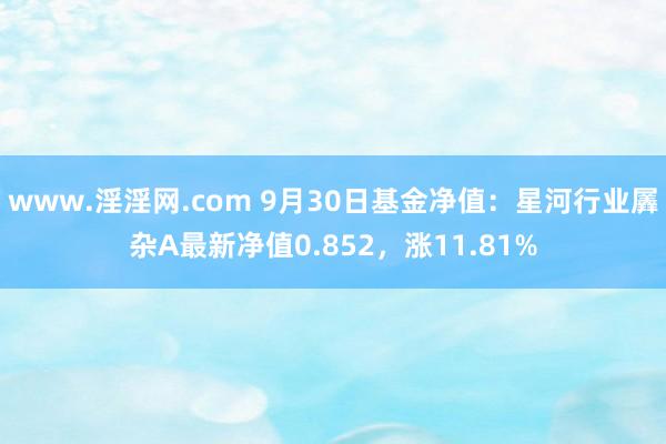 www.淫淫网.com 9月30日基金净值：星河行业羼杂A最新净值0.852，涨11.81%