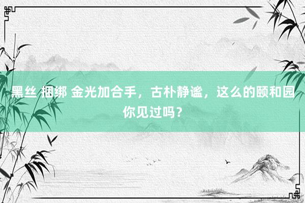 黑丝 捆绑 金光加合手，古朴静谧，这么的颐和园你见过吗？