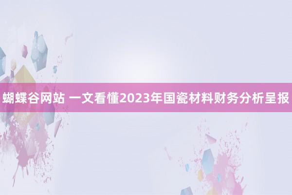 蝴蝶谷网站 一文看懂2023年国瓷材料财务分析呈报