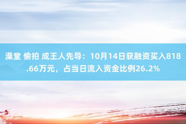 澡堂 偷拍 成王人先导：10月14日获融资买入818.66万元，占当日流入资金比例26.2%