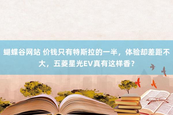 蝴蝶谷网站 价钱只有特斯拉的一半，体验却差距不大，五菱星光EV真有这样香？