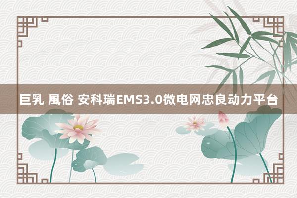 巨乳 風俗 安科瑞EMS3.0微电网忠良动力平台