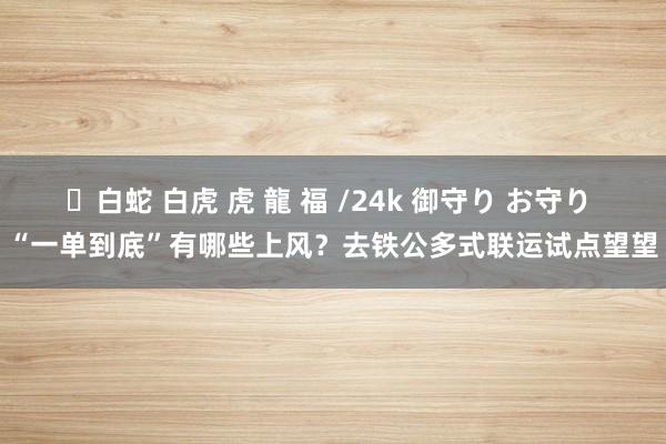 ✨白蛇 白虎 虎 龍 福 /24k 御守り お守り “一单到底”有哪些上风？去铁公多式联运试点望望