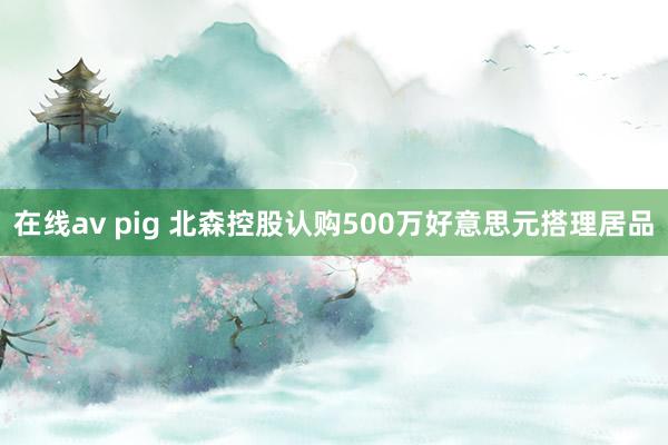 在线av pig 北森控股认购500万好意思元搭理居品