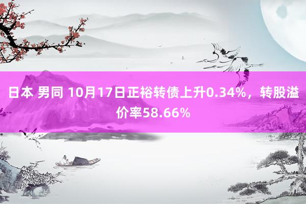 日本 男同 10月17日正裕转债上升0.34%，转股溢价率58.66%