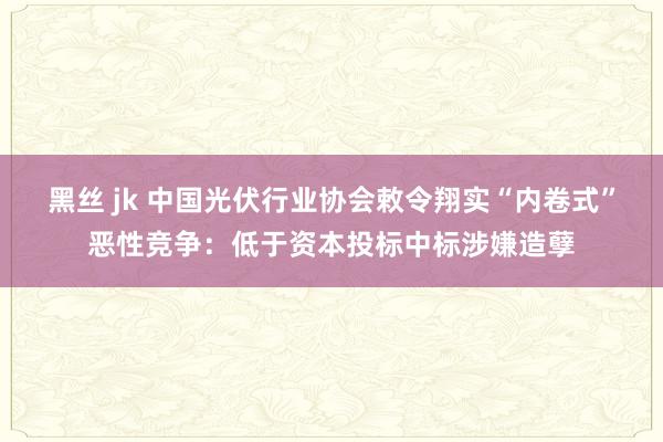 黑丝 jk 中国光伏行业协会敕令翔实“内卷式”恶性竞争：低于资本投标中标涉嫌造孽