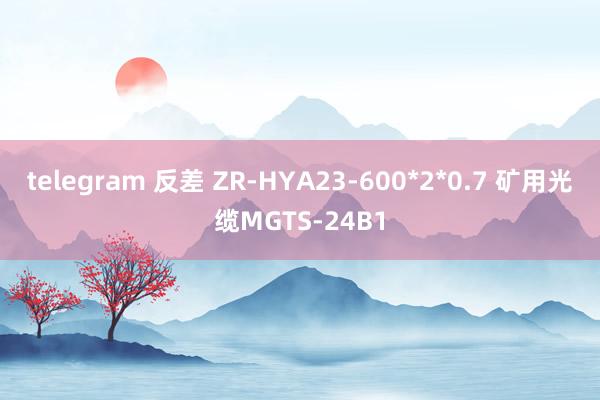 telegram 反差 ZR-HYA23-600*2*0.7 矿用光缆MGTS-24B1