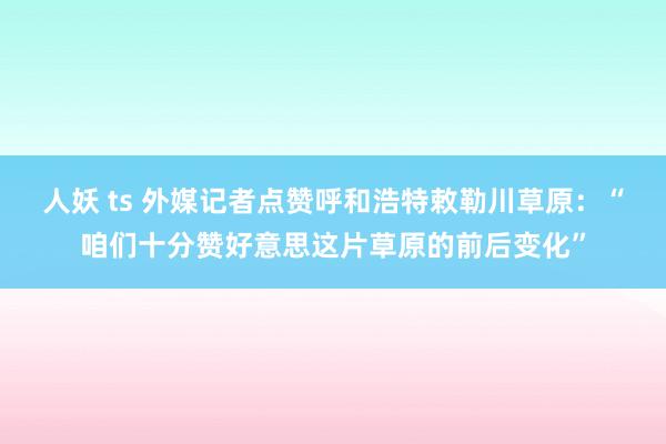 人妖 ts 外媒记者点赞呼和浩特敕勒川草原：“咱们十分赞好意思这片草原的前后变化”