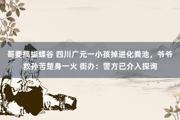 哥要搞蝴蝶谷 四川广元一小孩掉进化粪池，爷爷救孙苦楚身一火 街办：警方已介入探询