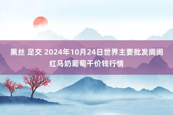 黑丝 足交 2024年10月24日世界主要批发阛阓红马奶葡萄干价钱行情