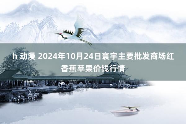 h 动漫 2024年10月24日寰宇主要批发商场红香蕉苹果价钱行情