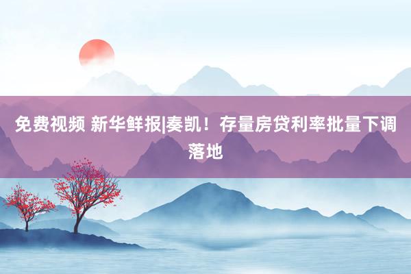 免费视频 新华鲜报|奏凯！存量房贷利率批量下调落地