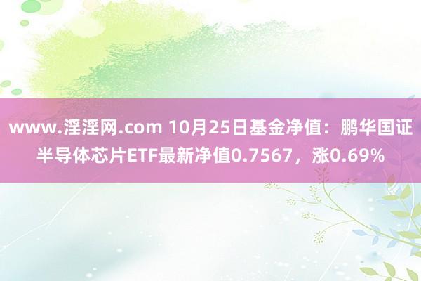 www.淫淫网.com 10月25日基金净值：鹏华国证半导体芯片ETF最新净值0.7567，涨0.69%