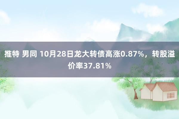 推特 男同 10月28日龙大转债高涨0.87%，转股溢价率37.81%