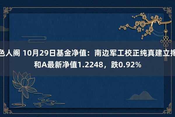 色人阁 10月29日基金净值：南边军工校正纯真建立搀和A最新净值1.2248，跌0.92%