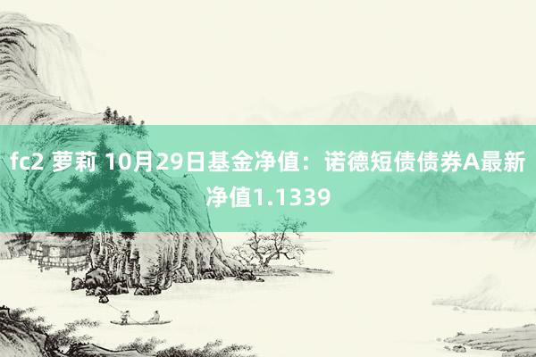 fc2 萝莉 10月29日基金净值：诺德短债债券A最新净值1.1339