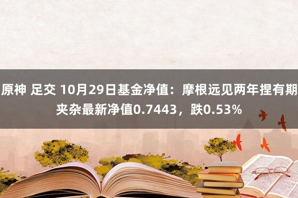 原神 足交 10月29日基金净值：摩根远见两年捏有期夹杂最新净值0.7443，跌0.53%