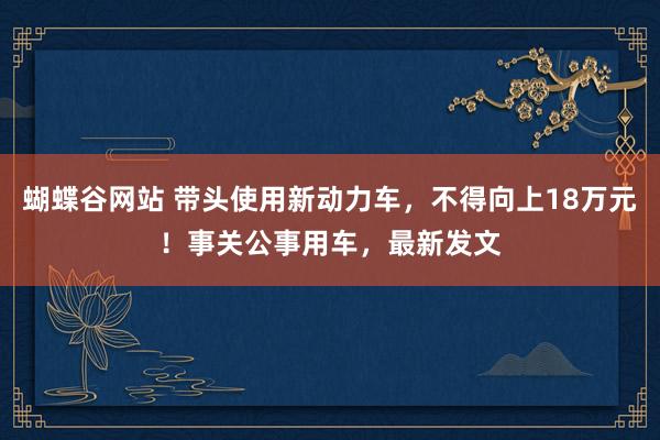 蝴蝶谷网站 带头使用新动力车，不得向上18万元！事关公事用车，最新发文