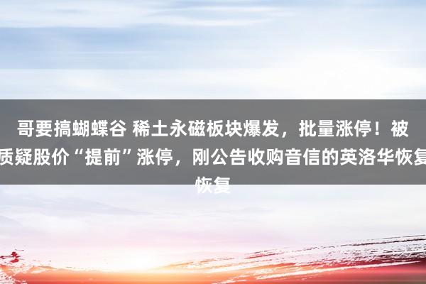 哥要搞蝴蝶谷 稀土永磁板块爆发，批量涨停！被质疑股价“提前”涨停，刚公告收购音信的英洛华恢复