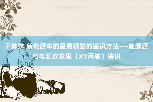 干妹妹 新能源车的最易领路的鉴识方法——能源源和电源双象限（XY两轴）鉴识